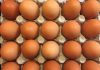 «Что с яйцами?»: эксперт спрогнозировал, какой будет цена в ближайшие дни — Росбалт